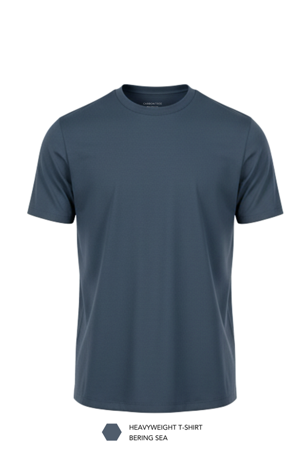 Carbon Heavyweight T-Shirt - Pack of 2