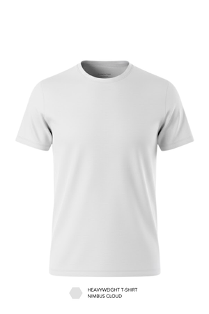 Carbon Heavyweight T-Shirt - Pack of 2
